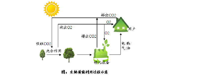 生物质能源特点及发展状况